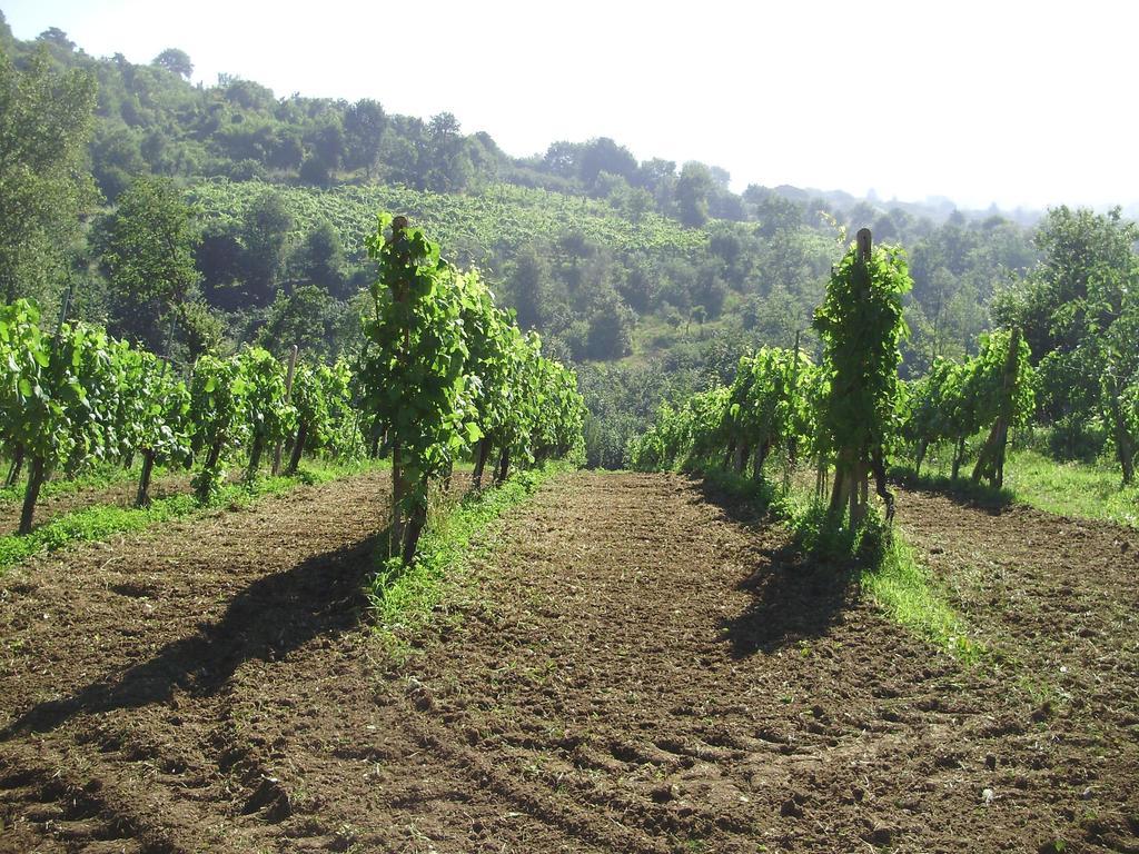 Tenuta Montelaura Forino Exterior photo