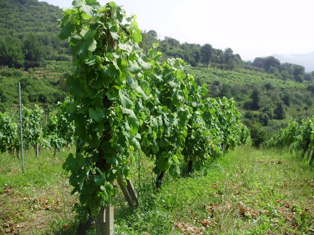 Tenuta Montelaura Forino Exterior photo