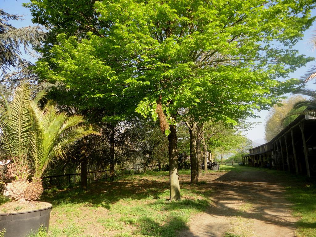 Tenuta Montelaura Forino Exterior photo